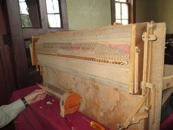 The Innards