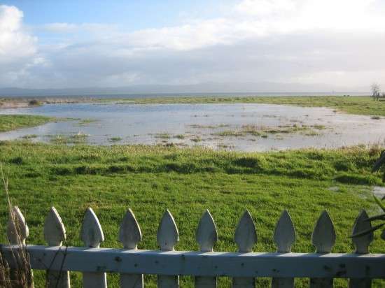 The Lower Meadow