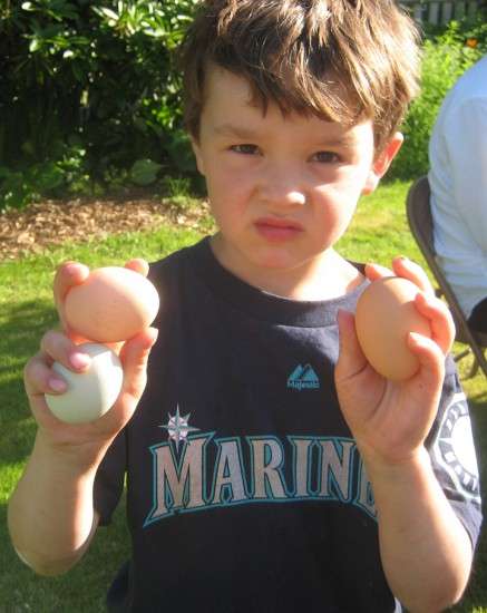 Three Eggs!