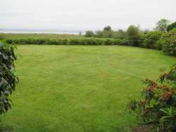 Today's Lawn: Yellowing Up For Summer