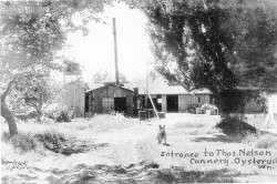 Tommy Nelson's Cannery 1940s