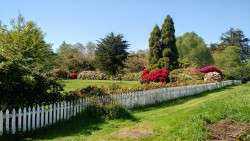 From Behind the Back Fence by 'The SunWishers'