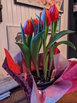 A Houseful of Fun and Flowers!
