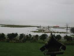 Two Hours until High Tide