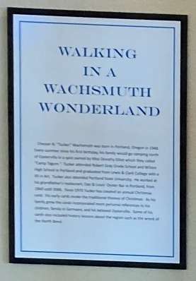 Walking In A Wachsmuth Wonderland