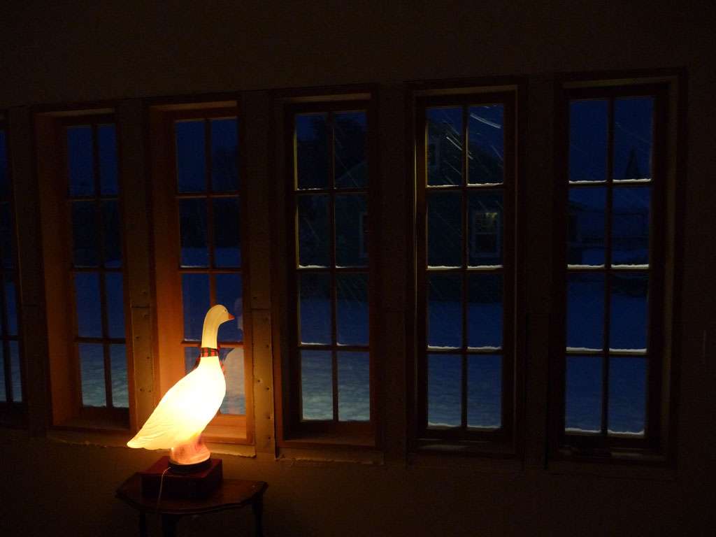 Wachsmuth Guard Goose