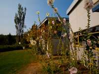 Willapa Bay Air Grounds_2