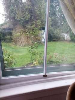 Keeping Tabs on Mrs. Crouch