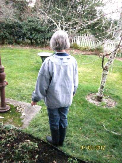 Winter Gardener