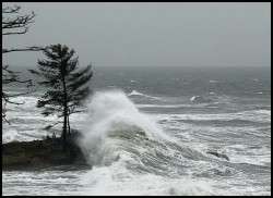 Yesterday at Wash Away Beach