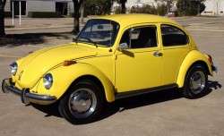 beetle197381988