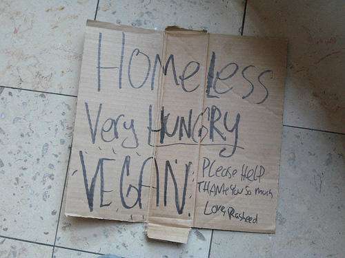 funny-homeless-sign-vegan