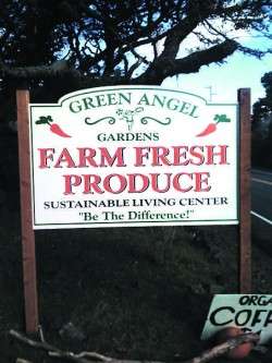 greenangelsign