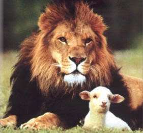 lion_lamb