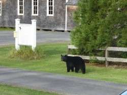 On the Way to the Schoolhouse