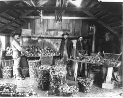 Inside an Oyster Station