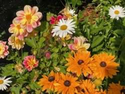 The Beauties and Beasties of August