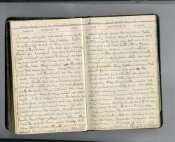 Medora's Diary