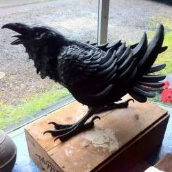 Raven by Greg's Mom