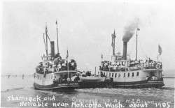 Shamrock and Reliable, Passenger Ferries
