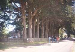 Oysterville Streetscape