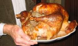 Turkey-from-Scratch