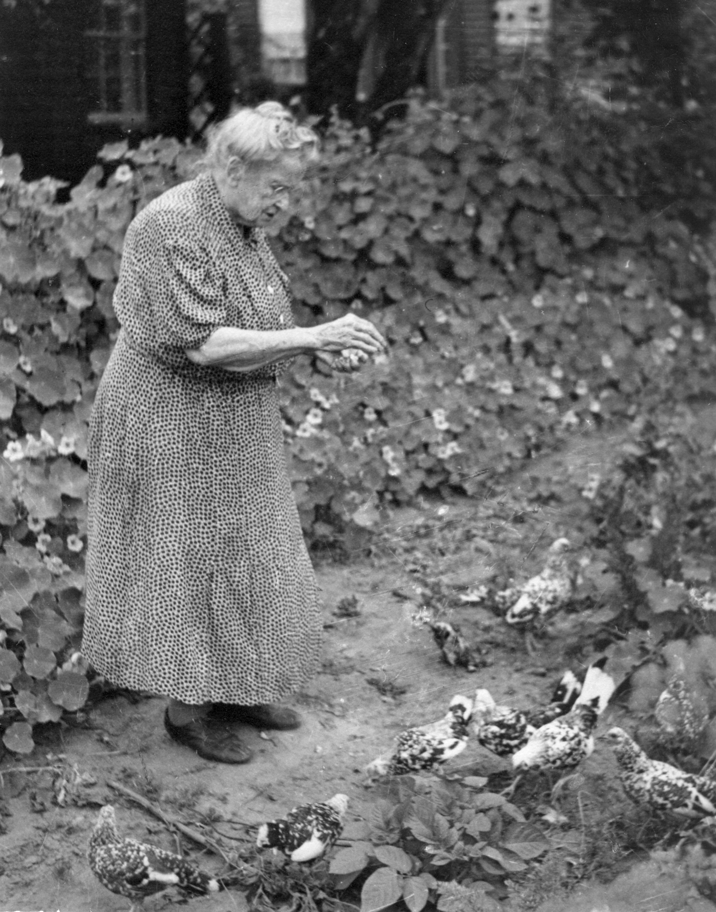 Aunt Rye with Banty Chickens