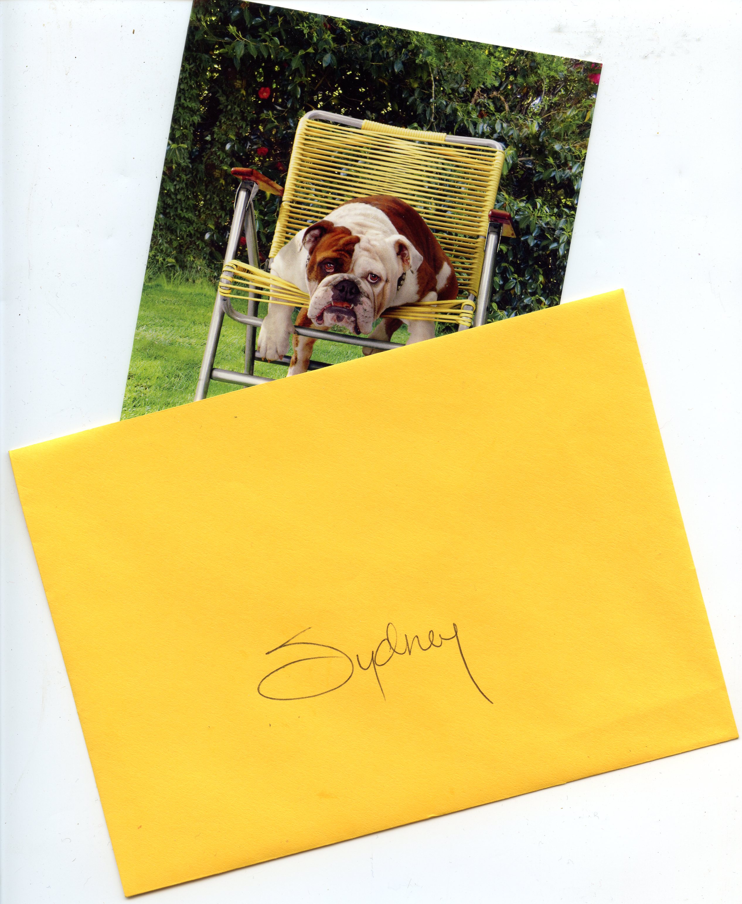 Birthday Card from Gordon