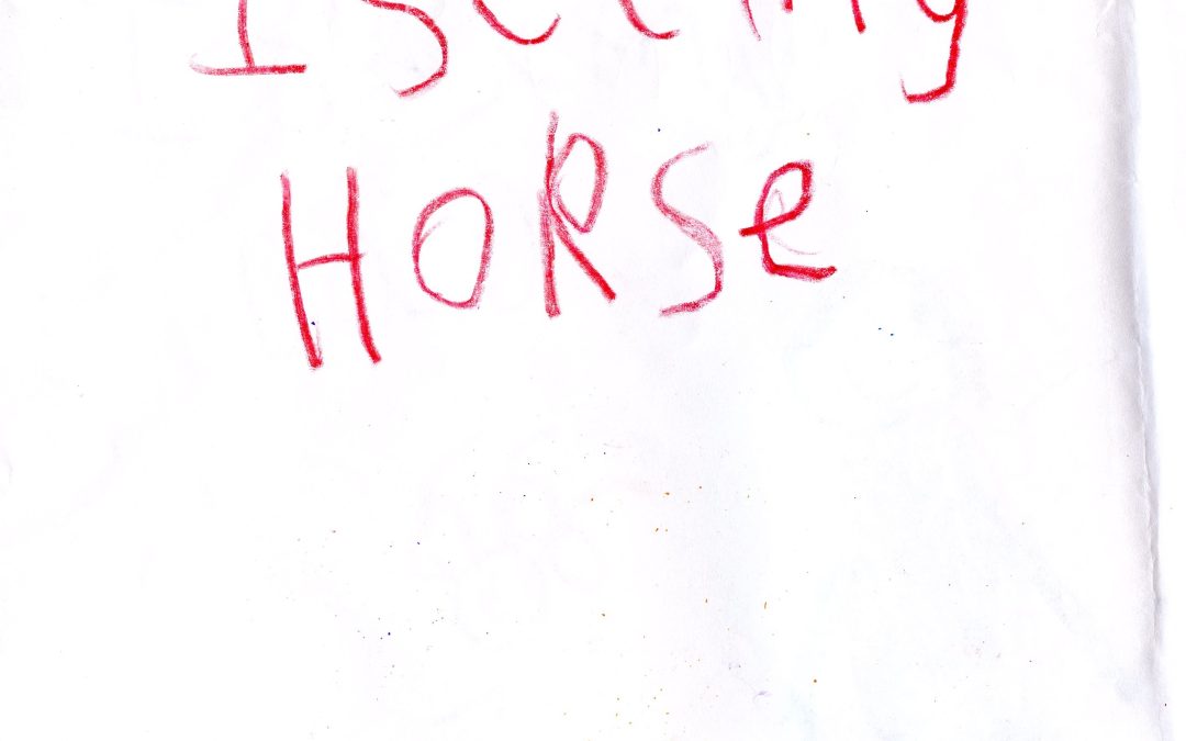 Danielle, the Horse Girl!