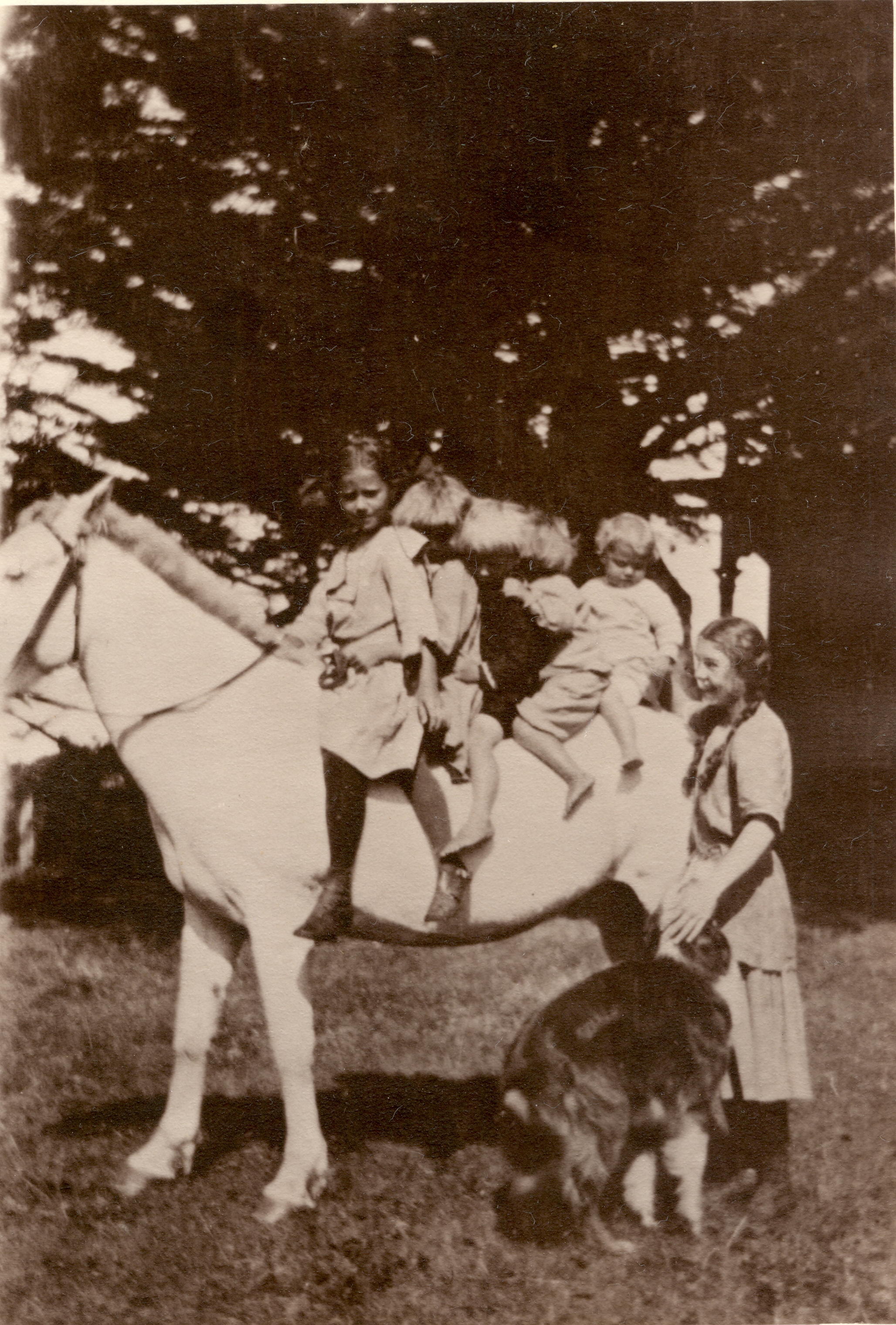 Espy Children 1913