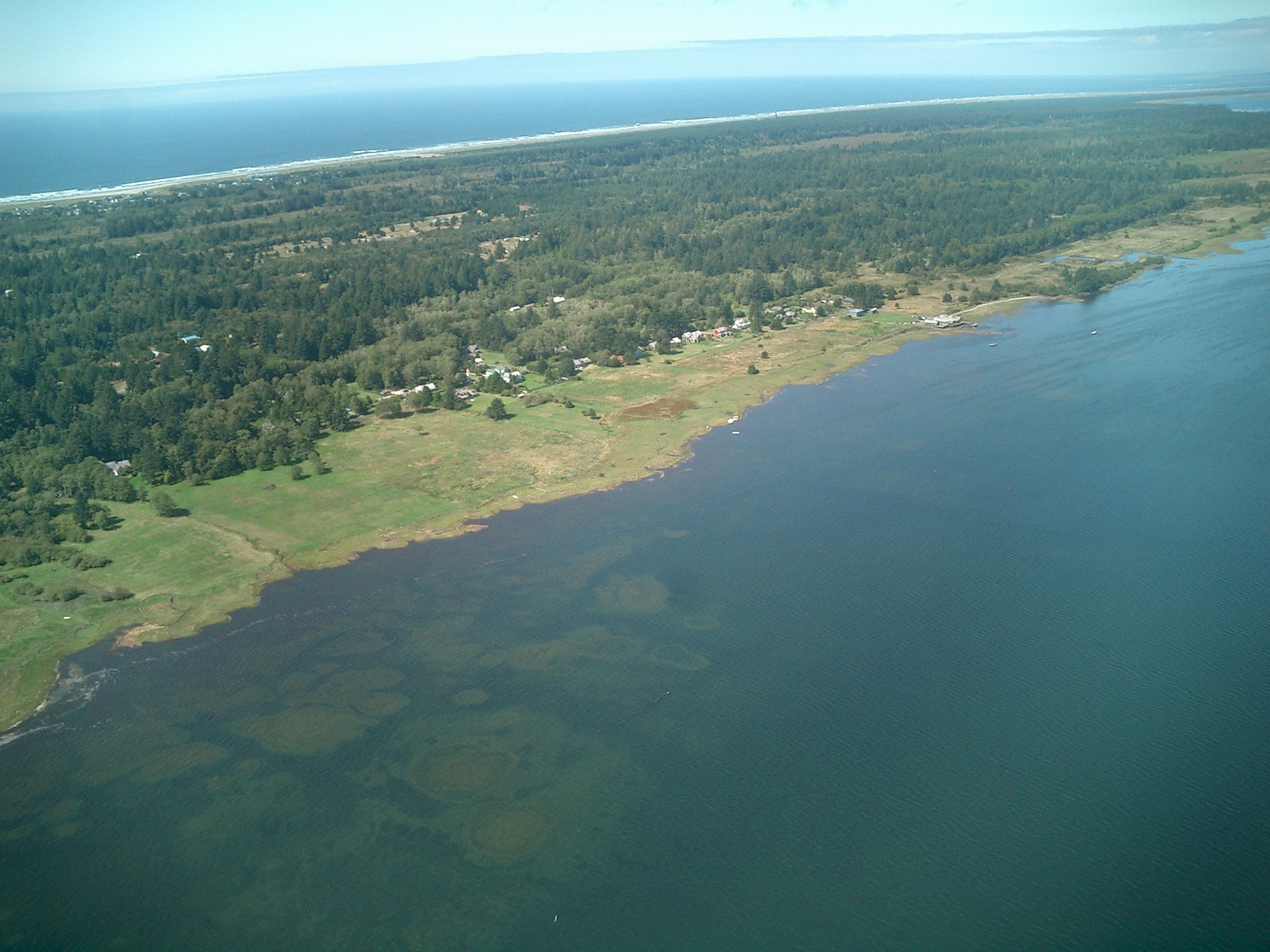 Oysterville from Above