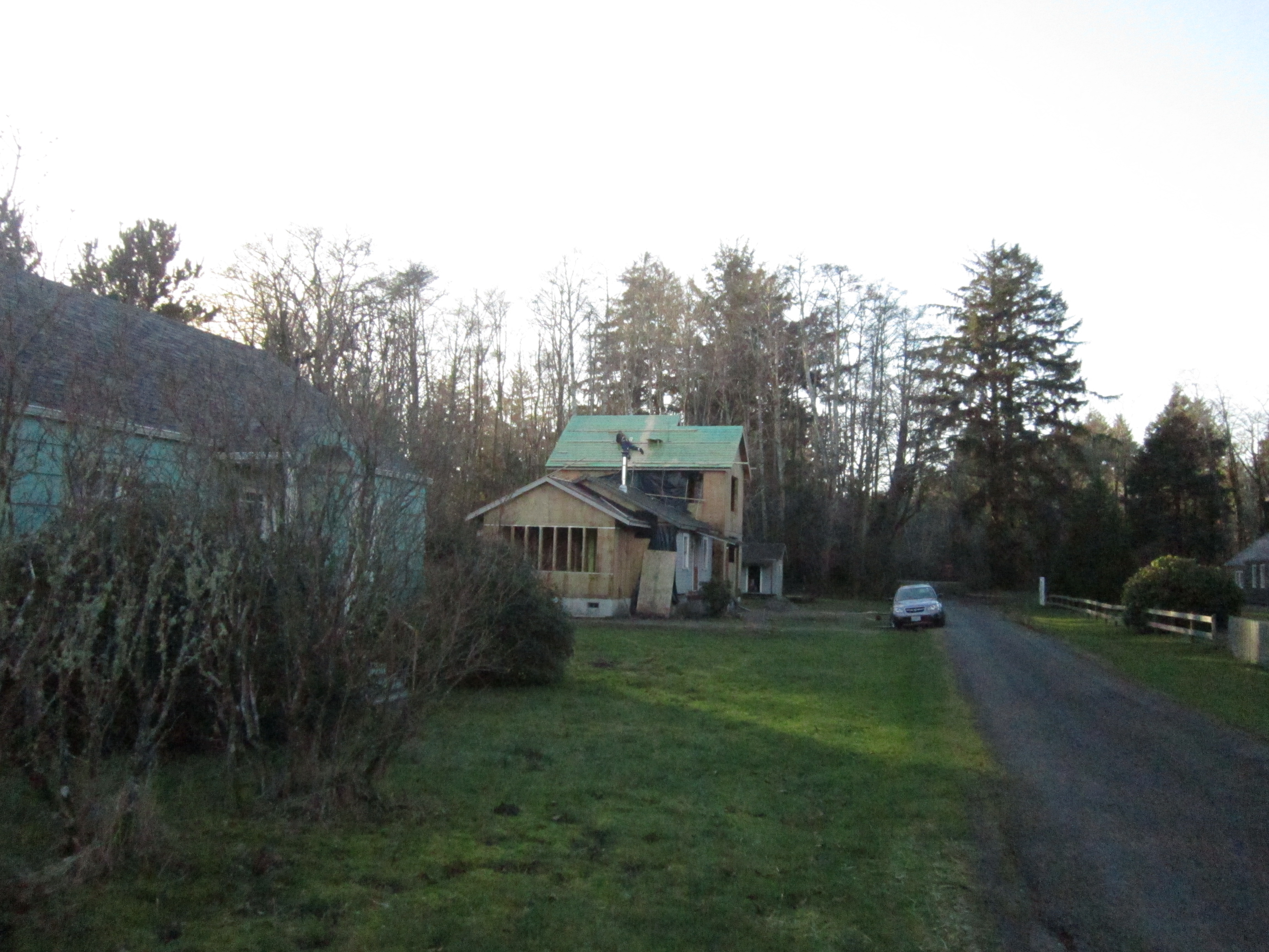 The Green Roof