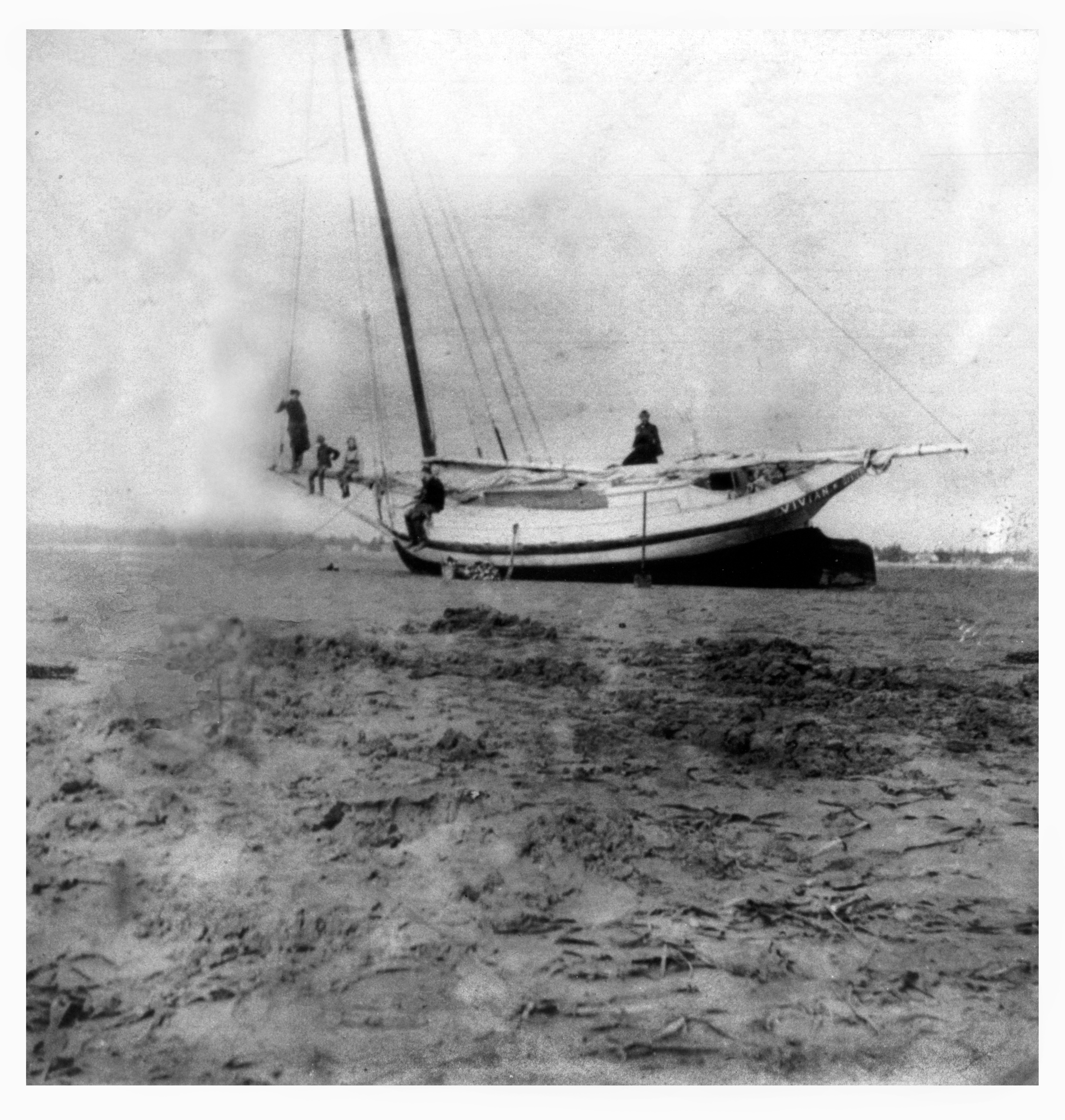 The Vivian