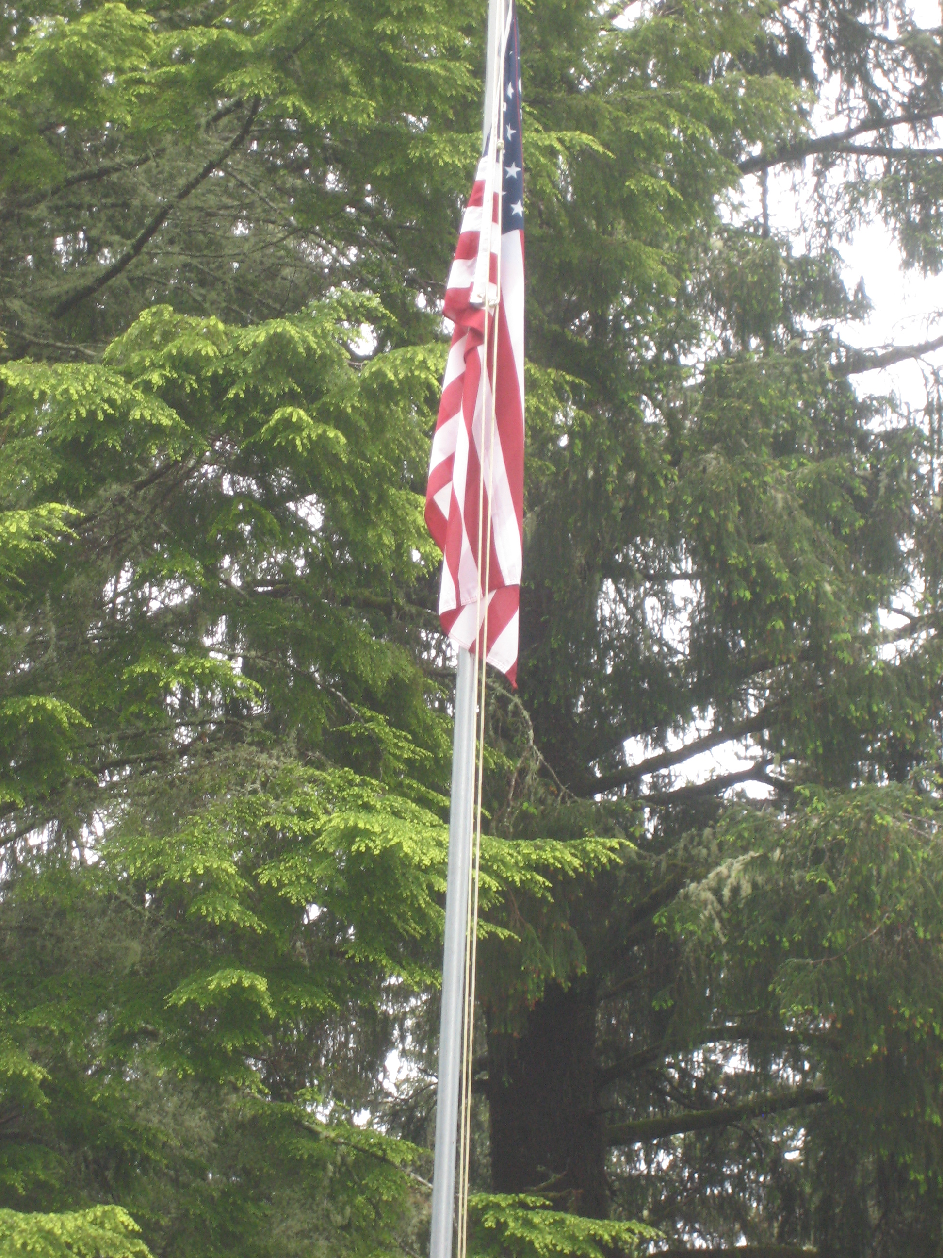 Up the Flagpole